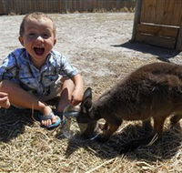 Animal Farm Goolwa - Accommodation Brisbane