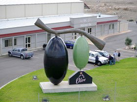 The Big Olive - Accommodation Brisbane 0