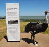 Birdman of the Coorong - Accommodation Brisbane