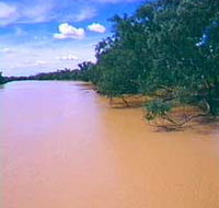 Warrego River - Accommodation Brisbane