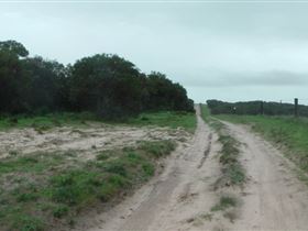 Messent Conservation Park - Accommodation Brisbane 1