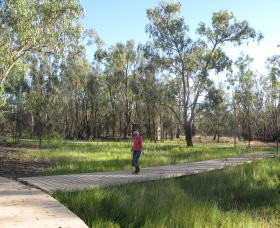 Ben Scott Memorial Bird Trail - Accommodation Brisbane 0