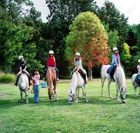 Limestone Coast Horseriding - Accommodation Brisbane