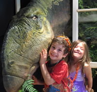 Australian Opal Centre - Accommodation Brisbane
