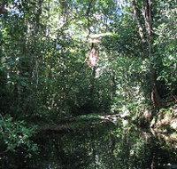 Misty Mountains Wilderness Walking Tracks - Accommodation Brisbane