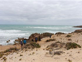 The Seaview Walking Trail - Accommodation Brisbane 0