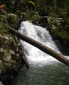 Souita Falls - Accommodation Brisbane 0