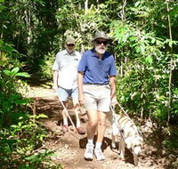 Wongabel State Forest - Accommodation Brisbane