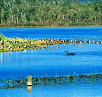 Hasties Swamp National Park - Accommodation Brisbane