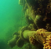 Wreck Diving at Magnetic Island - Accommodation Brisbane