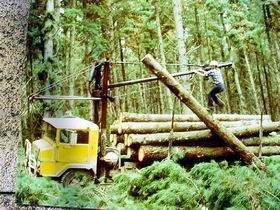 Nangwarry Forestry And Logging Museum - Accommodation Brisbane 3