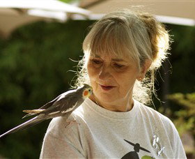 Simply Tomatoes - Accommodation Brisbane 0