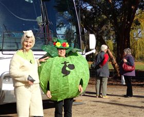 Simply Tomatoes - Accommodation Brisbane 6