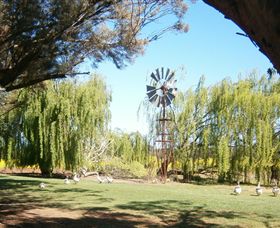 Simply Tomatoes - Accommodation Brisbane 7