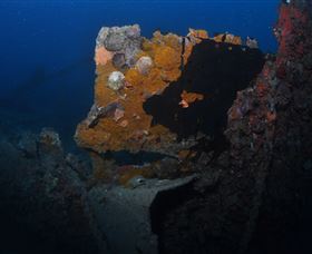 Lady Bowen Dive Site - Accommodation Brisbane 0