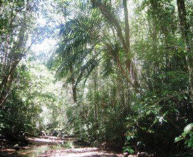 Julatten QLD Accommodation Brisbane