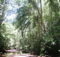Mount Lewis National Park - Accommodation Brisbane