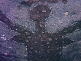 Accommodation Brisbane