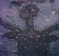 Quinkan Reserves Ancient Rock Art - Accommodation Brisbane