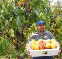 Sweet Farm Tours - Accommodation Brisbane