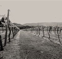 Halls Gap Estate - Accommodation Brisbane