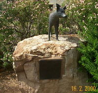 Dingo Statue - Accommodation Brisbane