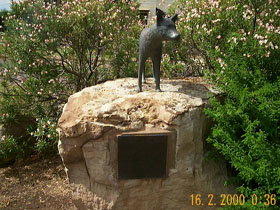 Dingo Statue - Accommodation Brisbane 0