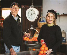 Backroads Trail - Accommodation Brisbane 3