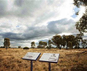 Backroads Trail - Accommodation Brisbane 2