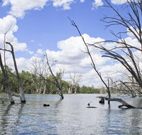 Murrumbidgee Valley National Park - Accommodation Brisbane