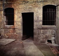 J Ward Museum - Accommodation Brisbane