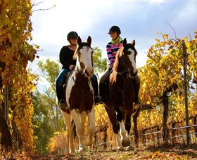 Billabong Ranch - Accommodation Brisbane 0