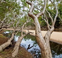 Oyala Thumotang National Park CYPAL - Accommodation Brisbane