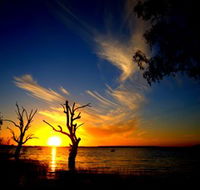 Lake Cowal - Accommodation Brisbane