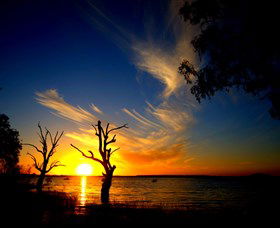 Lake Cowal - Accommodation Brisbane 0