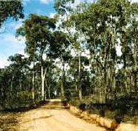 Paddys Ranges State Park - Accommodation Brisbane