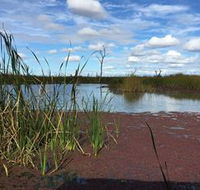 Gwydir Wetlands - Accommodation Brisbane