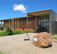 Pilliga Forest - Accommodation Brisbane