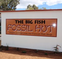 Big Fish Fossil Hut at Peak Hill - Accommodation Brisbane