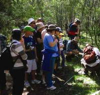 Warrumbungle National Park Discovery Program - Accommodation Brisbane