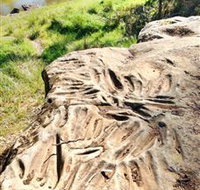 Terramungamine Rock Grooves - Accommodation Brisbane