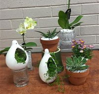 Cobram Florist - Accommodation Brisbane