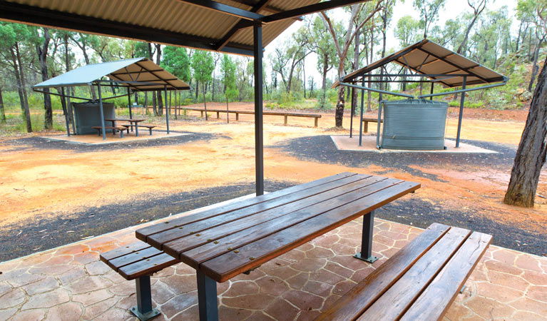 The Pilliga NSW Accommodation Brisbane