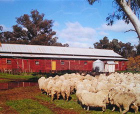 Savernake Day Tours - Accommodation Brisbane 1