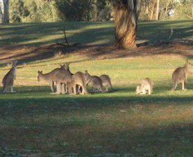 Savernake Day Tours - Accommodation Brisbane 4
