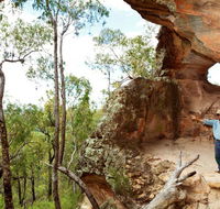 Pilliga National Park - Accommodation Brisbane