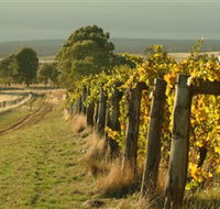 Captains Creek Organic Wines - Accommodation Brisbane