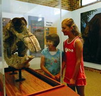 Australian Museum Diprotodon Exhibition - Accommodation Brisbane