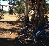 Murchison Rail Trail - Accommodation Brisbane