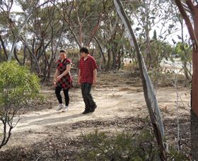 Tamma Parkland - Accommodation Brisbane 0